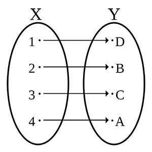 funzione-biettiva-wikipedia