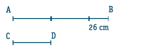 problemi-geometria-parallelogramma