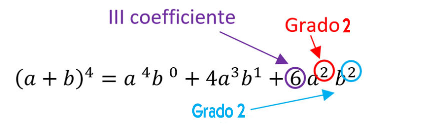 Binomio alla quarta grado 2